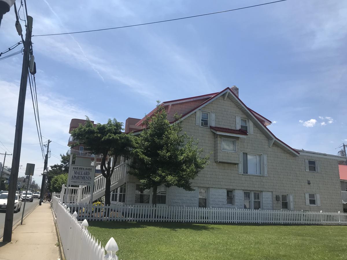 Mallard Apartments Ocean City Exterior photo